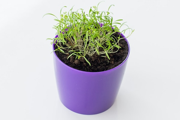 6. А это что такое?