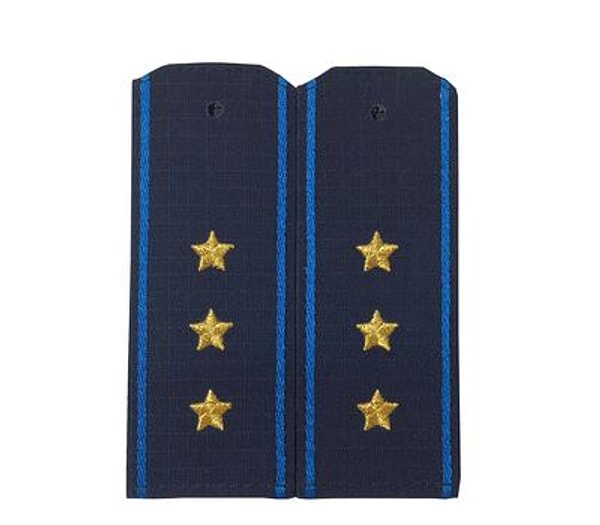 2. Кто носит такие погоны?