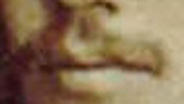 14. Кому принадлежат эти усы?