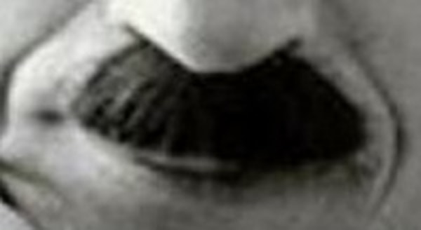 19. Кому принадлежат эти усы?