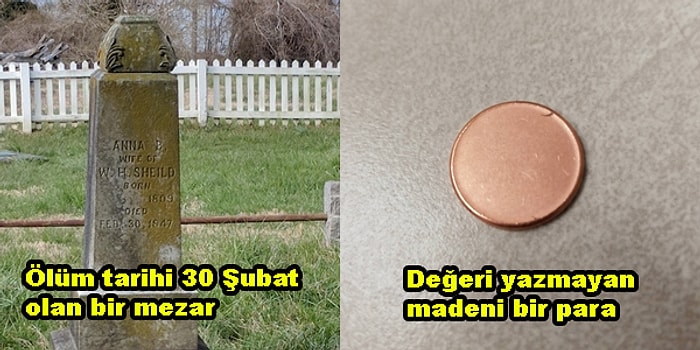 Gördüğünüz An Sizi Hem Çok Şaşırtıp Hem de İçinizi Pamuk Gibi Yapacak 27 Etkileyici Fotoğraf