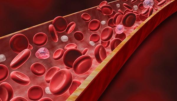 Hemoglobin(HGB) Seviyesini Yükseltmek İçin Neler Yapılmalı?