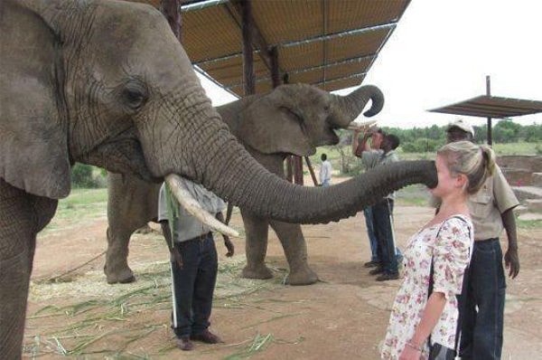 8. Она ему явно не понравилась... или наоборот?