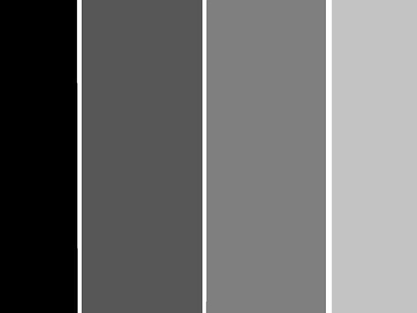 4. Цветовая схема какого зверя на картинке?