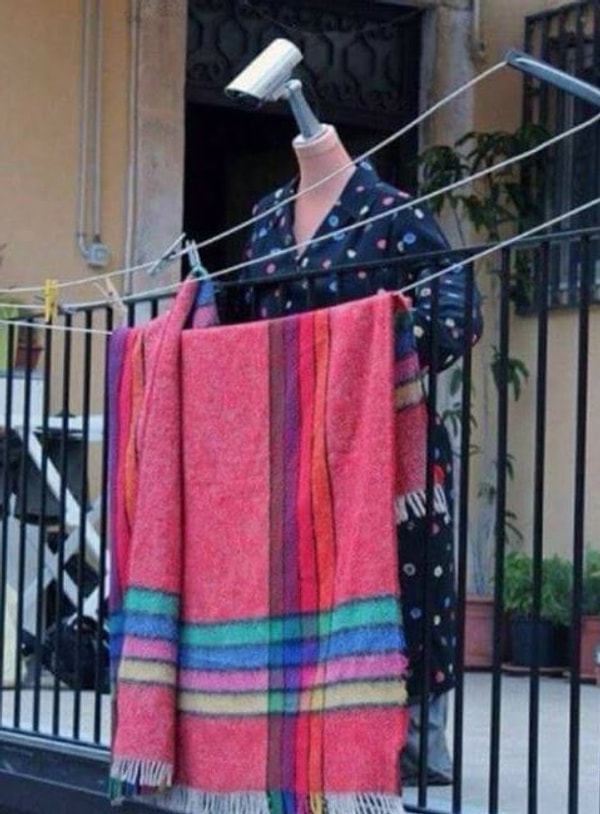 8. Познакомьтесь, наша новая соседка 😱