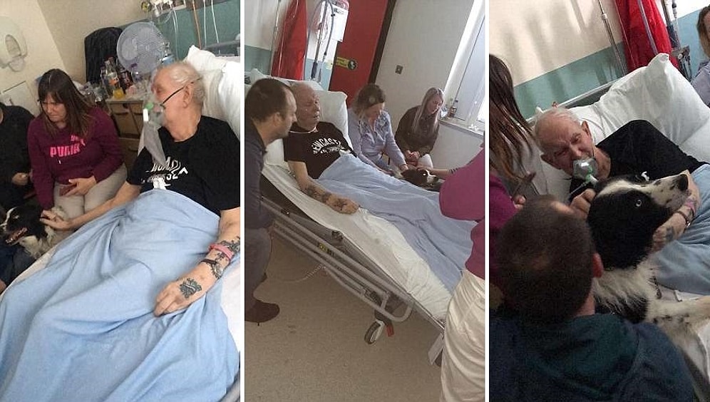 Son Dileği Köpeğiyle Vedalaşmak Olan Adamın İzlerken Gözlerinizden Yaş Getirecek Görüntüleri