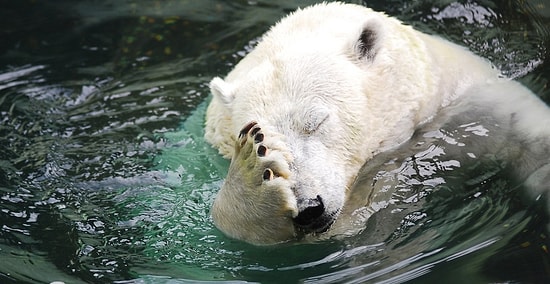 15 самых безумных фейлов 2018 года