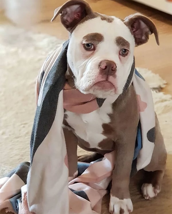 Он утверждает, что это она только на первый взгляд такая.