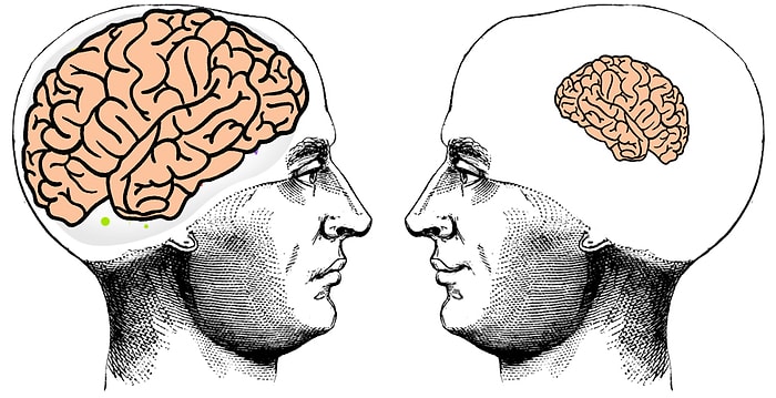 Как вы вообще можете считать себя образованным человеком, если не знаете ответы на эти 10 вопросов