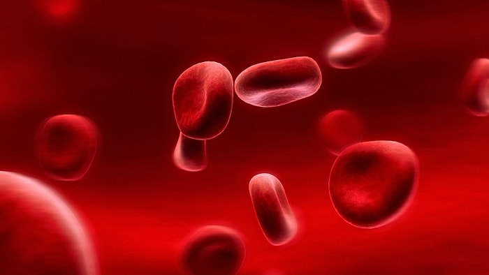 Demir Eksikliğini Ortaya Çıkaran Ferritin Nedir? Ferritin Hakkında Bilmeniz Gereken 6 Şey!