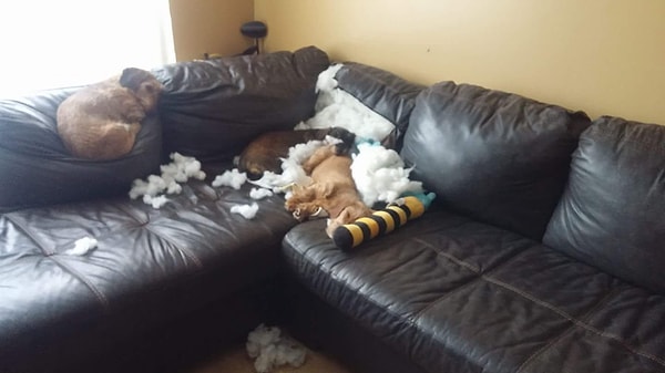 17. И спят как ни в чем не бывало.