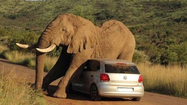 20. "Вы же не против, если я присяду?"