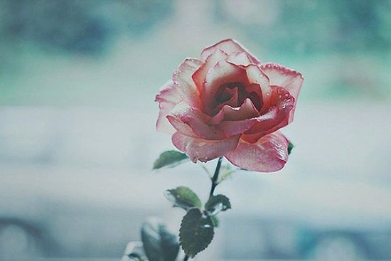 Этот цветовой тест назовет самую выразительную особенность твоей внешности!