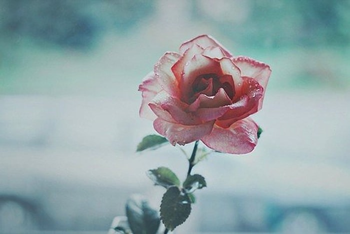 Этот цветовой тест назовет самую выразительную особенность твоей внешности!