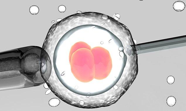 Embriyoların sahibinin kim olduğuyla ilgili yasal belirsizlikler nedeniyle Çin'deki tıp merkezleri embriyoları kabul etmedi.