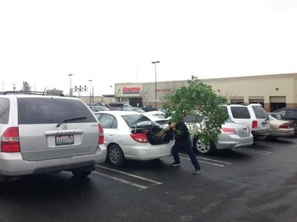 9. Отличная идея 👍