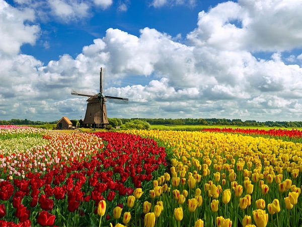 3. Какой цвет привлек ваше внимание?