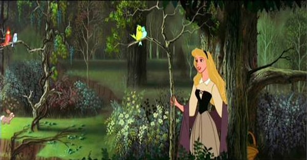 Показать правильный ответ: