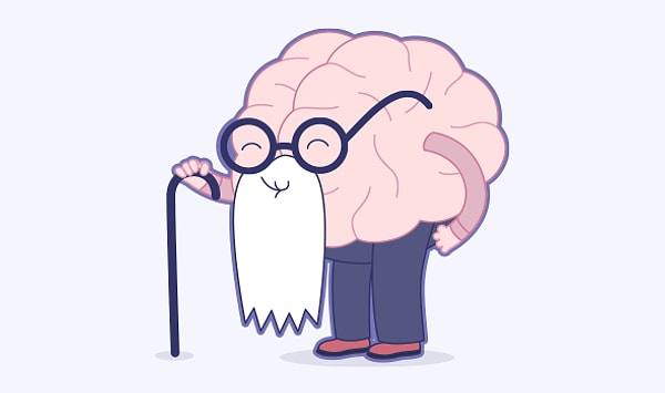 4. Из чего состоит кора головного мозга?