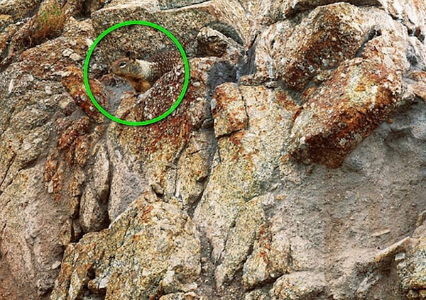 Посмотреть правильный ответ: