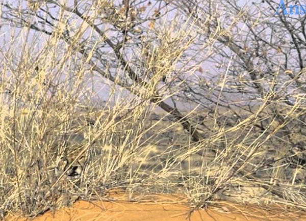 4. Обнаружили кого-нибудь тут?