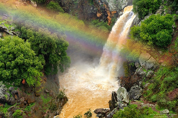 17. Такое можно увидеть не только в Южной Америке...