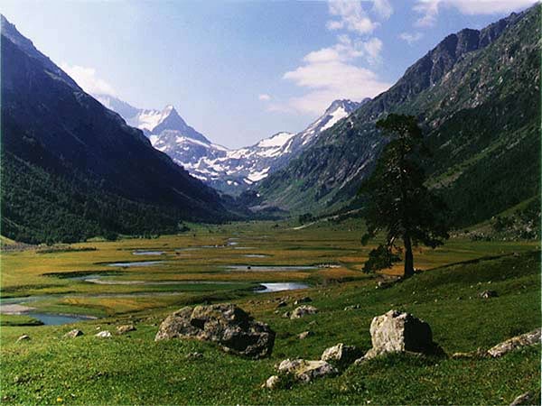 7. А в индийской деревне Джатинга массовое самоубийства совершают...