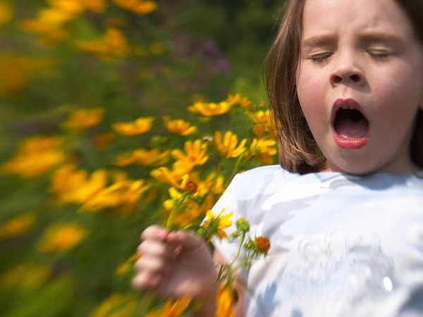 10. Все функции организма останавливаются (в том числе и работа сердца) при чихании.