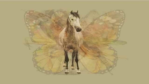 Вы видите лошадь?