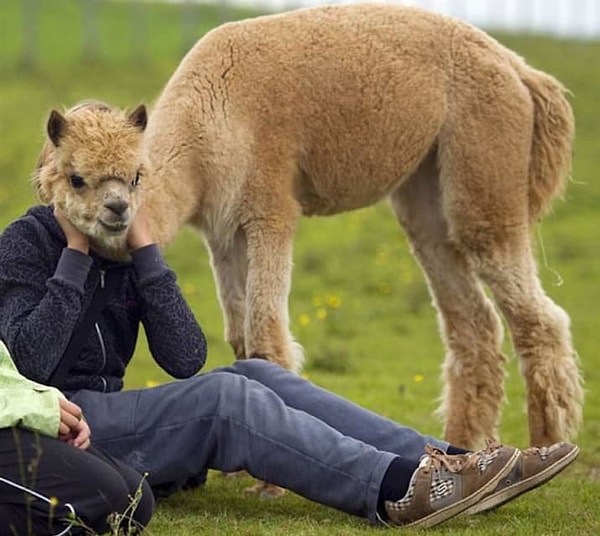 8. Выглядит, будто у этой девушки и вправду такая голова :)