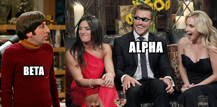 Тест на тип личности: Кто ты, "альфа" или "бета"?