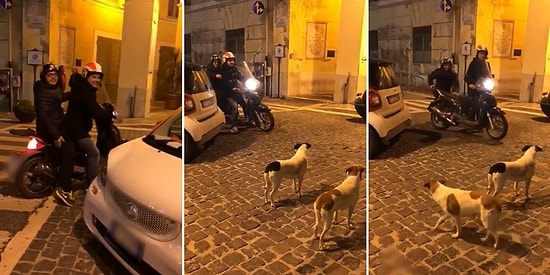Kovalamak İçin Hazırda Bekleyen Köpekleri Oyuna Getiren Motosikletli Adamlar
