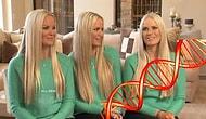 Загадки природы: три идентичные близняшки прошли тест на ДНК, и оказалось, что у них разные корни 😱