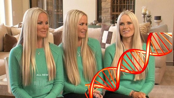 Загадки природы: три идентичные близняшки прошли тест на ДНК, и оказалось, что у них разные корни 😱