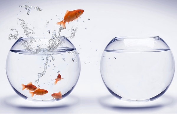 Тебе нужно начать все сначала!