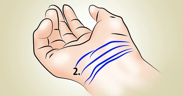 2. Вторая линия