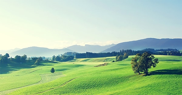 7. Выберите правильное написание: