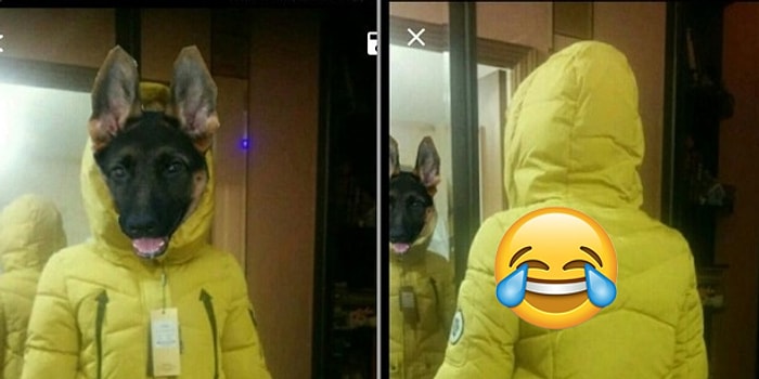 14 отзывов с AliExpress, которые избавят вас от плохого настроения