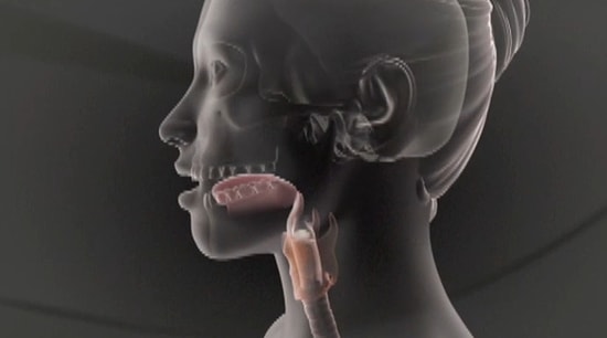 Konuşurken Dilinizin Nasıl Hareket Ettiğini Biliyor Musunuz?