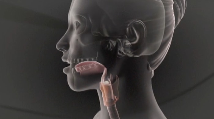 Konuşurken Dilinizin Nasıl Hareket Ettiğini Biliyor Musunuz?