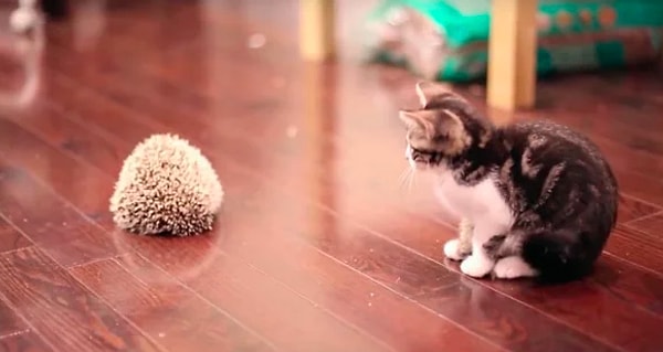 10. Со_страха он подскочил чуть ли не до потолка