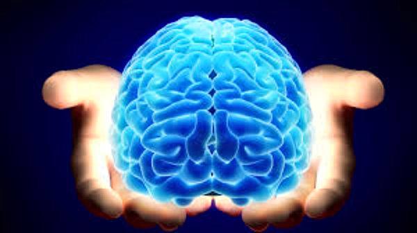18. Bilim adamları yaratıcı insanların ve şizofren tanısı konan insanların aynı beyin kimyasına sahip olduklarını keşfetmiştir.