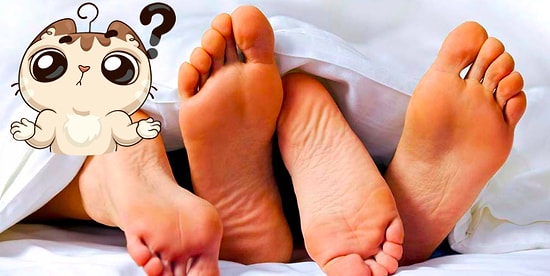 Можете не верить, но наш тест расскажет, сколько половых партнёров у вас было за всю жизнь