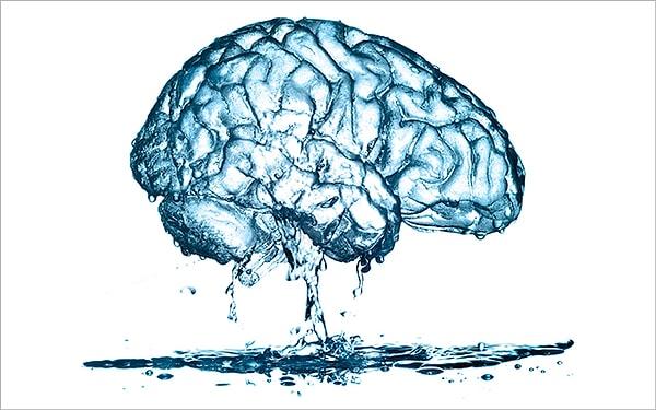 2. Beynimizin %73'ü suyla doludur ve eğer %2'den fazlası susuz kalırsa dikkat, hafıza ve algısal becerilerde kayıp yaşanır.