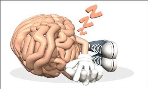 10. Beyin bizler uyurken de çalışır ve vücudun en aktif organlarından biridir.