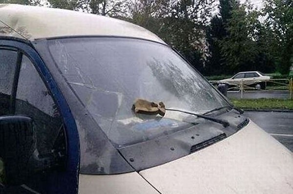 10. Обзор всегда будет четким.