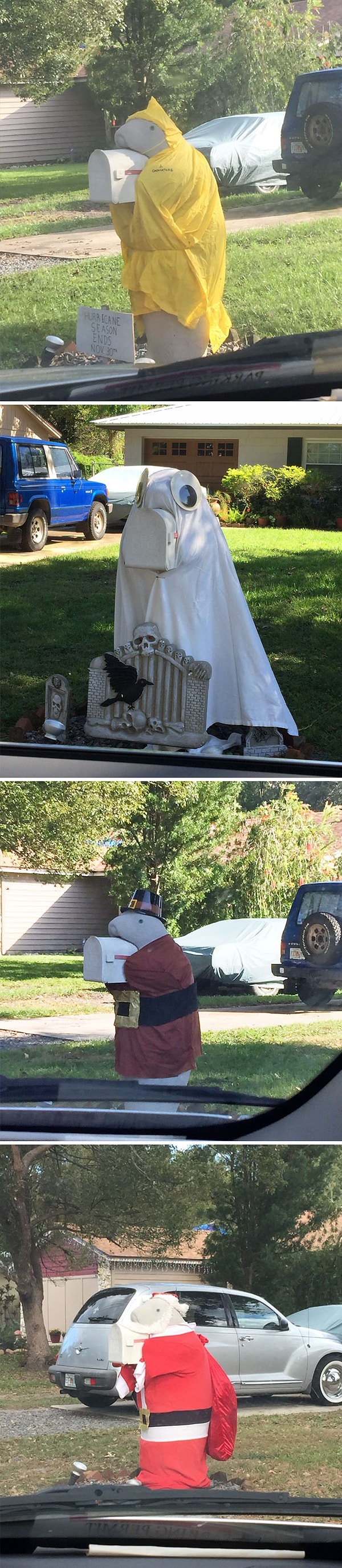 8. "Почтовые ящики моего соседа всегда выглядят как переодетые ламантины"