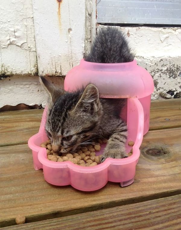 4. Малыш, ты точно делаешь что-то не так