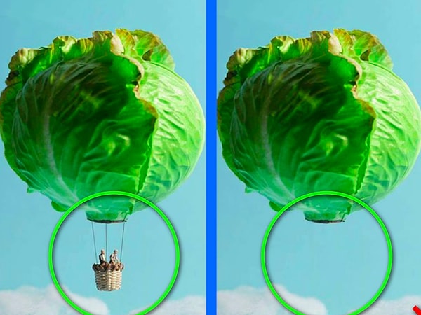 Показать правильный ответ