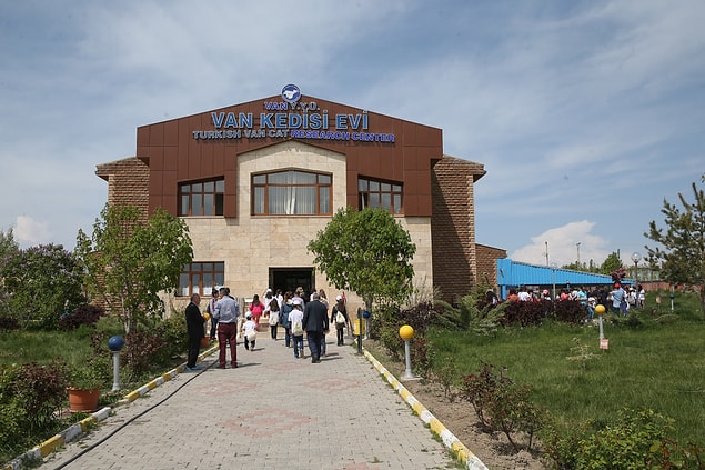 Van Kedisi Araştırma ve Uygulama Merkezi, 2018 yılı Türk Veteriner Hekimler Birliği'nin 'en iyi hizmet ödülü'ne layık görüldü.